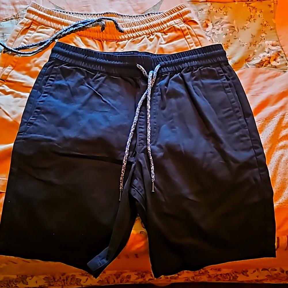 PacSun Shorts
